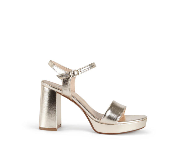 Pietra Champagne