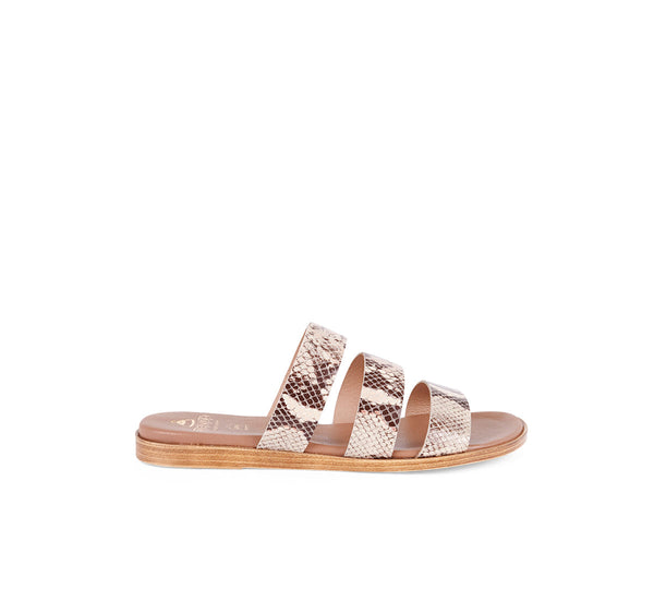 Tavernes Beige Snake