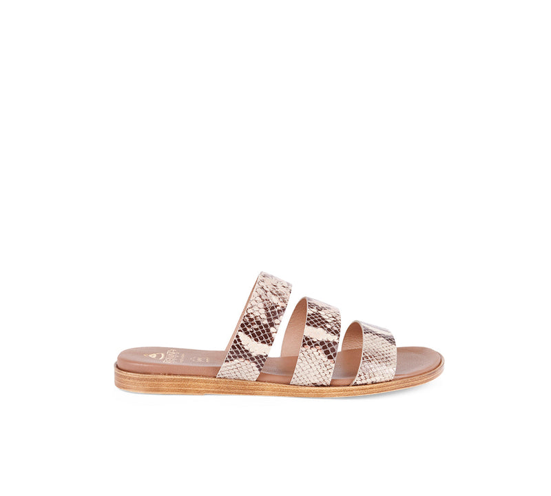 Tavernes Beige Snake